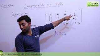 FSc Biology Book 2Introduction amp Composition of ChromosomesCh Chromosomes amp DNA12th Class Biology [upl. by Lainey489]