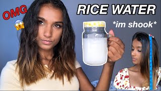 3 DAYS OF RICE WATER FOR EXTREME HAIR GROWTH [upl. by Ettevroc]