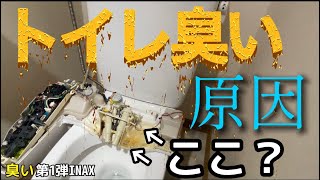 【トイレ臭いの原因】本気で消したい方必見【臭いを放つ場所】とは 男性の立ちションが原因かも´・ω・｀ [upl. by Enirtak826]