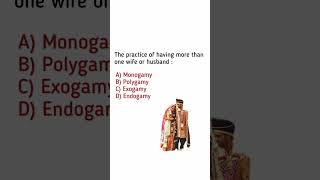 monogamy vs polygamy [upl. by Alissa3]