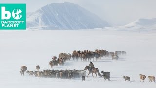 Extreme Living Inside Mongolian Nomads Gruelling Spring Migration [upl. by Irafat]