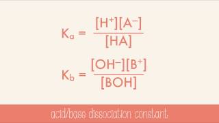 Strength of Acids and Bases [upl. by Luana962]