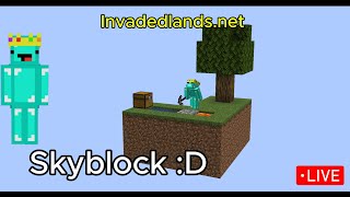 SKYBLOCK WOOOO [upl. by Stout341]