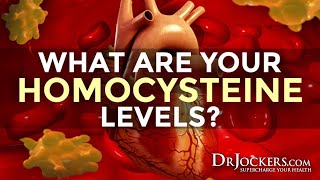 What are Your Homocysteine Levels [upl. by Elidad]