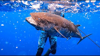 Spearfishing GIANT Tuna In The South Pacific [upl. by Hayley]