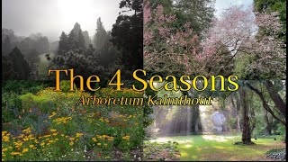 De veranderende Schoonheid van 4 Seizoenen in het Prachtige ARBORETUM KALMTHOUT drone shots 🇧🇪 4K [upl. by Edialeda]