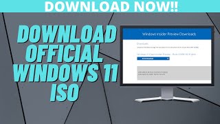 How to Download Official Windows 11 ISO [upl. by Aihpledalihp]