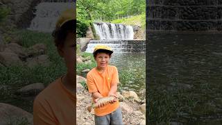 Parker’s Brown Trout Catch troutfishing browntrout trout fishing [upl. by Mariandi635]