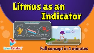 Class 7 Science Acids Bases and Salts  Litmus as an indicator  LearnFatafat [upl. by Nyleuqaj]