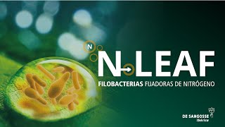 NLEAF fijador natural de nitrógeno atmosférico [upl. by Hendrika]