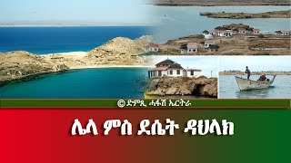 ሌላ ምስ ደሴት ዳህላክ DimTsi Hafash Eritreaድምጺ ሓፋሽ ኤርትራ [upl. by Boonie]