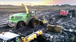 FORAGE HARVESTER in the MUD  2020 Corn Silage in France  Short History [upl. by Elke]