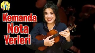 KEMANDA NOTA YERLERİ  DİLARA BAYKAL [upl. by Elleoj365]