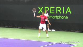 Grigor Dimitrov Slow Motion Backhands [upl. by Hadeehsar590]