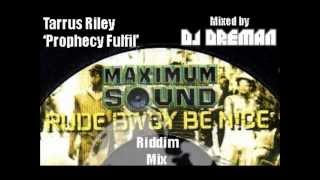 Rudebwoy Be Nice Riddim Mix 2012 DJDreman [upl. by Ainivad920]