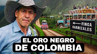 El Oro Negro De Colombia  Documental De Café Colombiano Versión en Español [upl. by Tullusus]