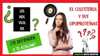 DESCUBRE la importancia de TU COLESTEROL LDL HDL Y VLDL ¿Cuál es el VALOR NORMAL cómo se CALCULA [upl. by Lorie4]