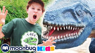 Dinosaur World Adventure  Jurassic Tv  Dinosaurs and Toys  TRex Family Fun [upl. by Neelac730]