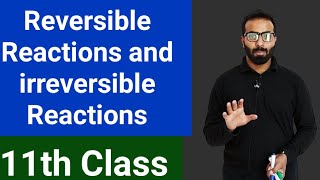 Reversible and irreversible Reactions  Difference between reversible and irreversible Reactions [upl. by Snebur]