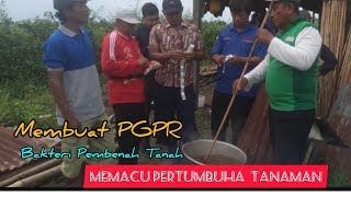 PGPR Memacu Pertumbuhan Semua Tanaman Murah Meriah [upl. by Judas]