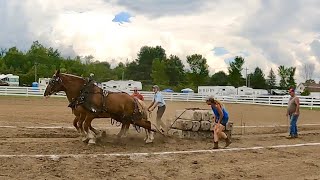 HORSE PULL DAY at the Gouverneur Fair [upl. by Hueston]