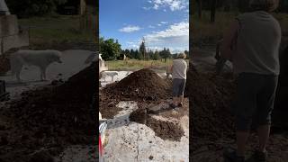 Preparing a biodynamic compost pile organicfarming biodynamicfarming [upl. by Waynant]