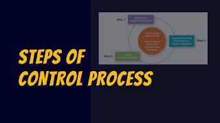 Management Control System MCS  Types and Elements of Management Control System MCS  BBA MBA [upl. by Annuahs175]