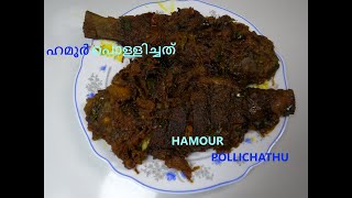 Hamour Fish Pollichathu  ഹമൂർ പിടിച്ച് പൊള്ളിച്ചത്  Grouper Fish Recipe [upl. by Celina]