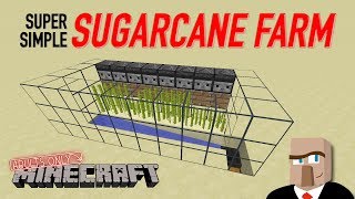 REDSTONE SUGARCANE FARM  Easy and Automatic Design Minecraft [upl. by Sutphin]