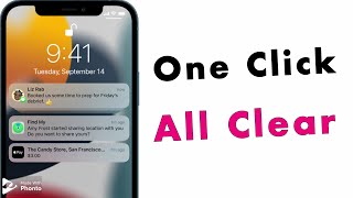 How to Remove iPhone Notification Number on iPhone [upl. by Snebur]