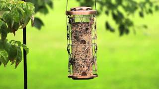 PerkyPet® Copper Meadow Bird Feeder [upl. by Siravaj652]