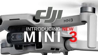 DJI Mini 3 and Why You Should Get Mini 3 [upl. by Abert]