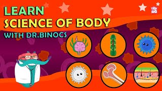 Look Inside The Human Body With Dr Binocs [upl. by Byrn233]