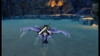 GW2 Skimmer Mount  How To Get It [upl. by Carrelli]