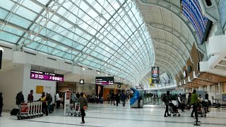 Toronto Airport Departure  Toronto Pearson International Airport [upl. by Alyakcim]