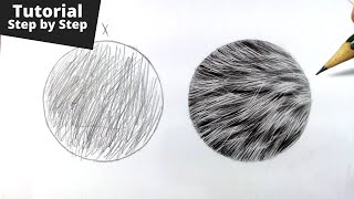 How to Draw Realistic Fur for Beginners [upl. by Solitta]