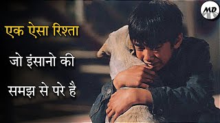 Hearty Paws Movie Explained In Hindi  A Heart Wrenching Film [upl. by Hummel76]