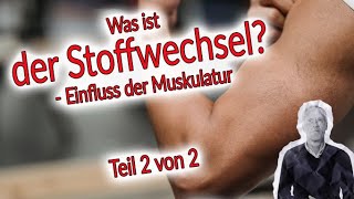 Der Stoffwechsel im Fokus  Teil 2  Einfluss von Muskeln auf den Stoffwechsel [upl. by Lonergan]