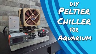 DIY Thermoelectric Peltier Chiller Tutorial [upl. by Margherita]