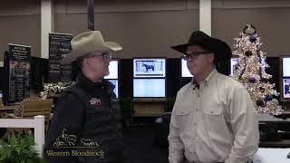 WESTERN BLOODSTOCK 2023 NCHA FUTURITY SALE PREVIEW [upl. by Bonnell]