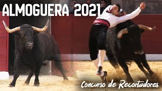 ¡Toros en 2021🏆 CONCURSO DE RECORTES EN ALMOGUERA 🏃🐂🇪🇸 [upl. by Norrahc]