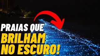 BIOLUMINESCÊNCIA Praias que brilham no escuro [upl. by Ymrej]