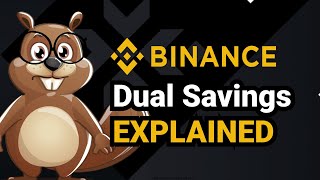 Binance Dual Savings Explained [upl. by Marcoux]