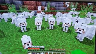 Attacking one wolf in front of about 64 WOLVES Minecraft [upl. by Eimmaj]