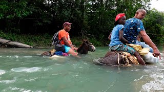 Con el rio hondo Vamos a Medre Vieja donde Maritza La vida del campo [upl. by Ricki]