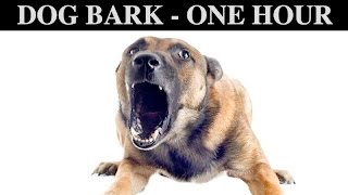 Sound Effects Of Dog Barking  ONE HOUR  BARK  GROWLING  CRY  PUPPY  WHINING  HQ [upl. by Airat]