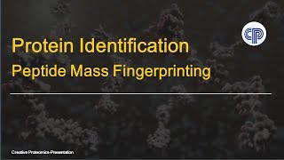 Protein Identification  Peptide Mass Fingerprinting [upl. by Acihsay]