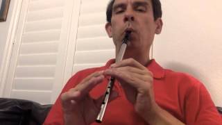 Foggy Dew  Tin Whistle [upl. by Ettenot109]