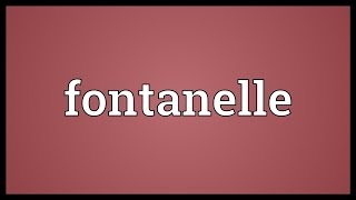 Fontanelle Meaning [upl. by Caesar]