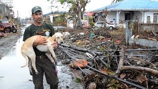 HSI Heartwarming Rescue Stories from the Philippines [upl. by Eseela]